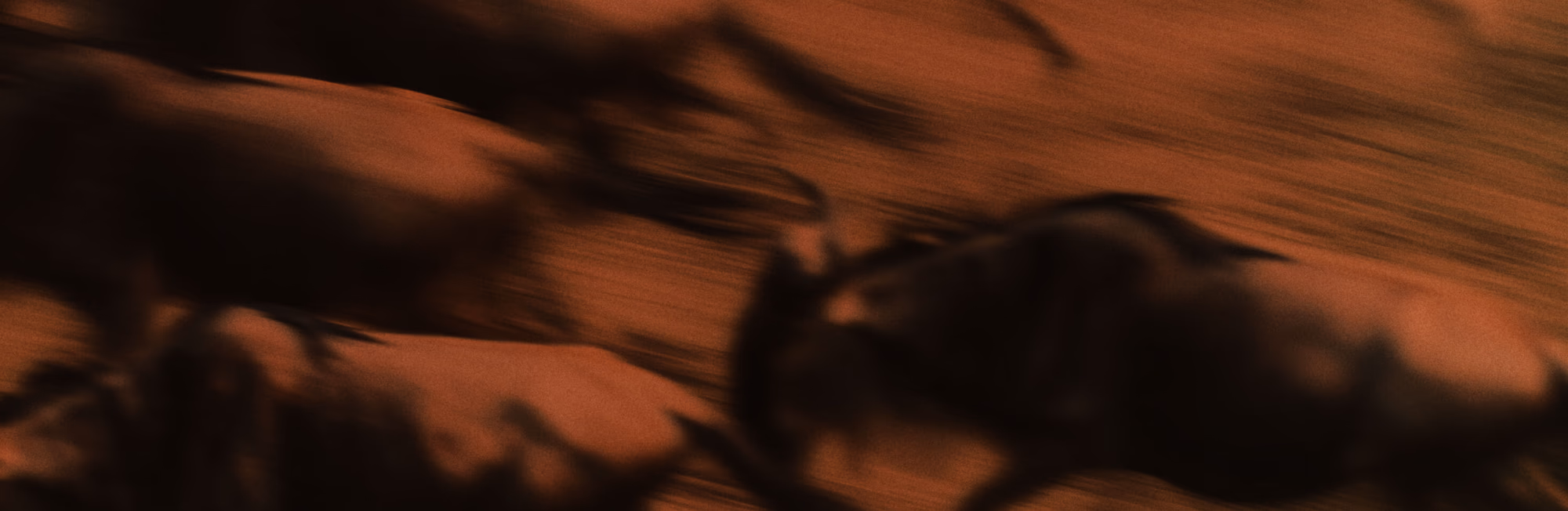 Case Studies Airbus BMW