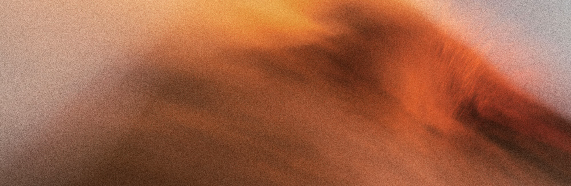 Case Studies Financial Services Giant