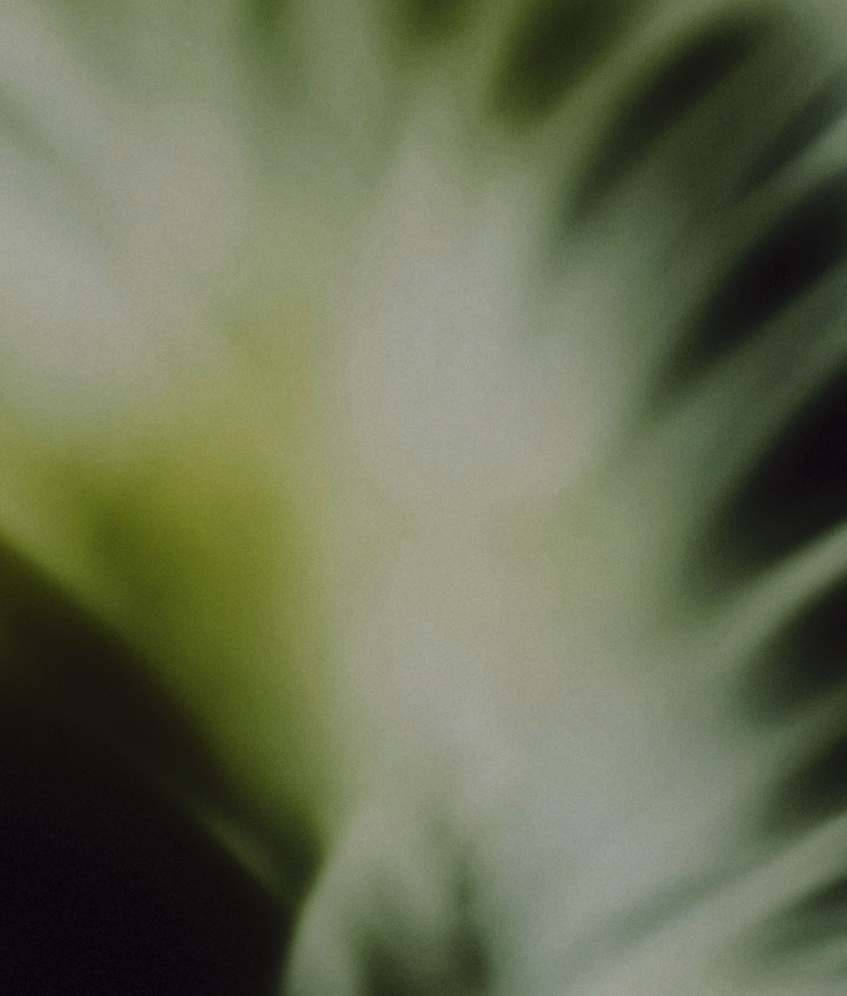 Haiqu Landing Insights